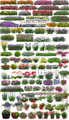 園林景觀與家用電器 現(xiàn)代家居美學(xué)的新融合