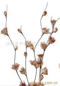 供應(yīng)葉脈花、龍柳、三叉木、龍桑、蘆葦專業(yè)指南